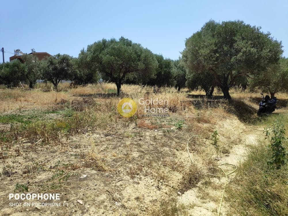 Building Plot in Giofirakia, Temenos — Photo 3 of 17
