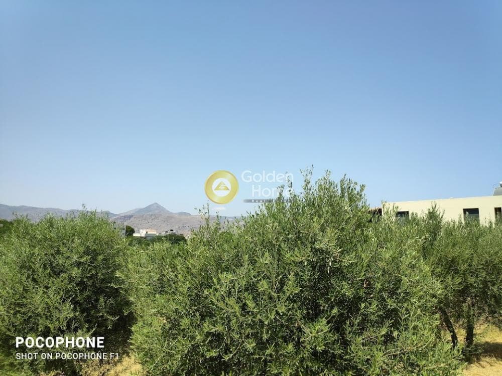 Building Plot in Giofirakia, Temenos — Photo 4 of 17