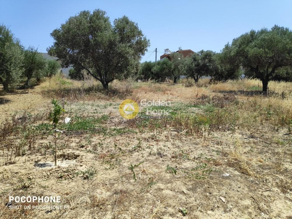 Building Plot in Giofirakia, Temenos — Photo 5 of 17