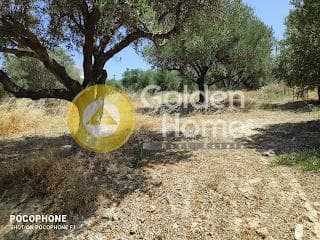 Building Plot in Giofirakia, Temenos — Photo 7 of 17