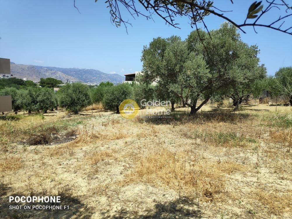 Building Plot in Giofirakia, Temenos — Photo 11 of 17