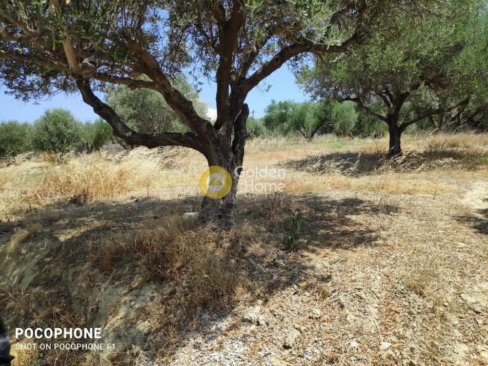 Building Plot in Giofirakia, Temenos — Photo 8 of 17