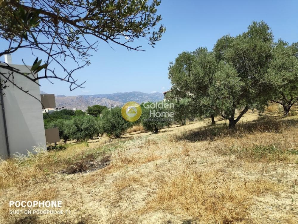 Building Plot in Giofirakia, Temenos — Photo 12 of 17