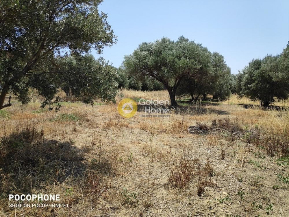 Building Plot in Giofirakia, Temenos — Photo 14 of 17