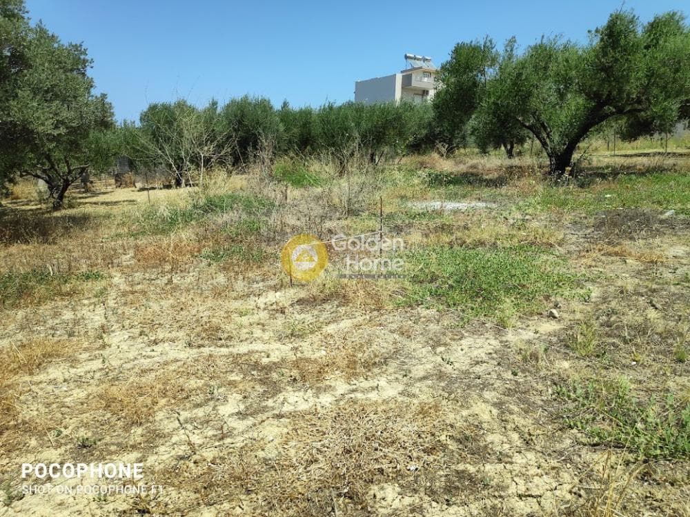 Building Plot in Giofirakia, Temenos — Photo 17 of 17