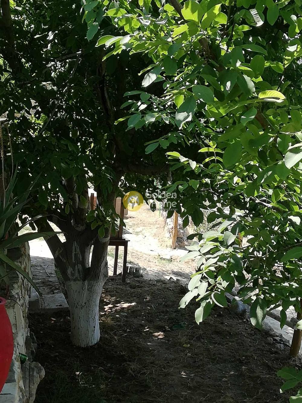 Parcel in Epano Vatheia, Episkopi — Photo 3 of 5