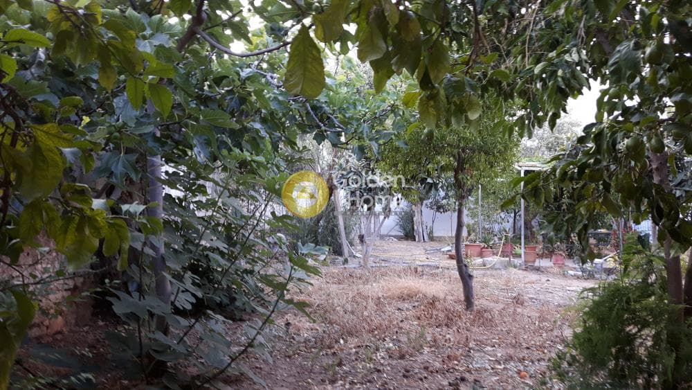 Building Plot in Center, Rafina — Photo 4 of 17