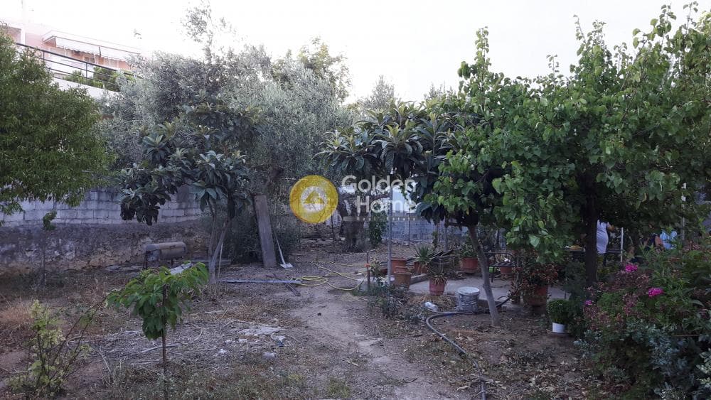 Building Plot in Center, Rafina — Photo 9 of 17