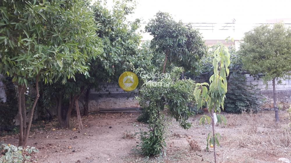 Building Plot in Center, Rafina — Photo 12 of 17