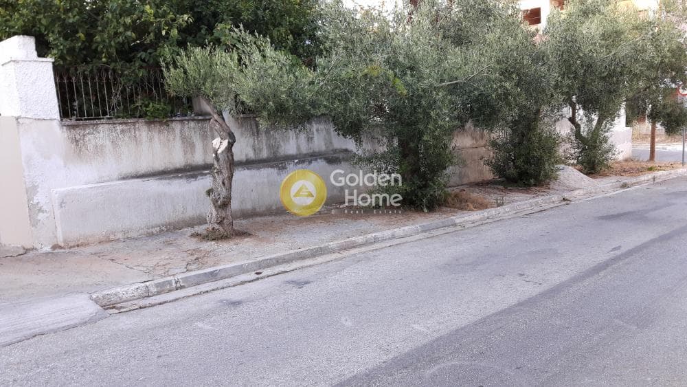 Building Plot in Center, Rafina — Photo 16 of 17