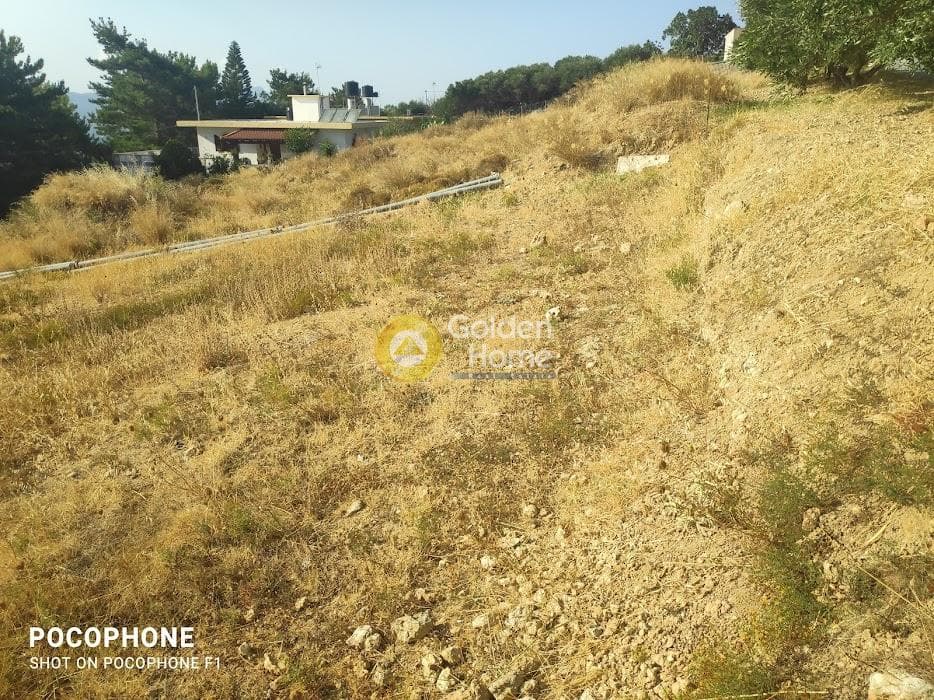 Οικόπεδο στην Πυργού, Τετραχώρι — Φωτογραφία 5 από 11