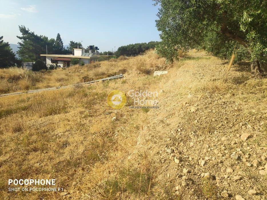 Οικόπεδο στην Πυργού, Τετραχώρι — Φωτογραφία 1 από 11