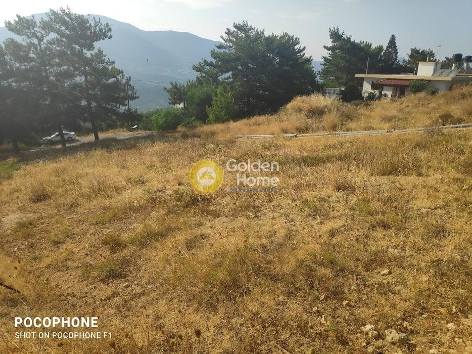 Οικόπεδο στην Πυργού, Τετραχώρι — Φωτογραφία 8 από 11