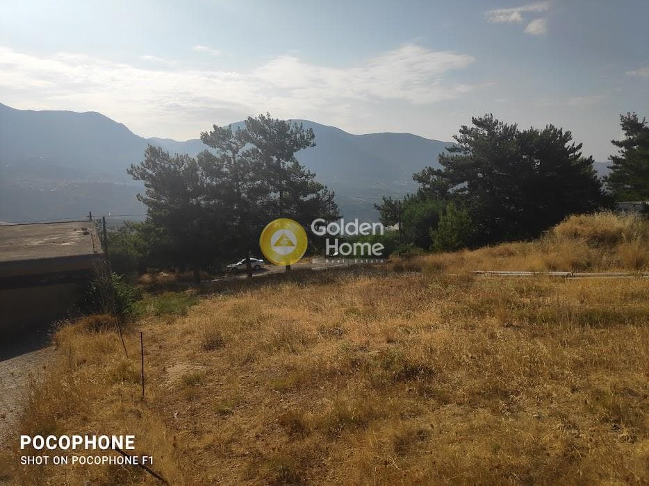 Οικόπεδο στην Πυργού, Τετραχώρι — Φωτογραφία 6 από 11