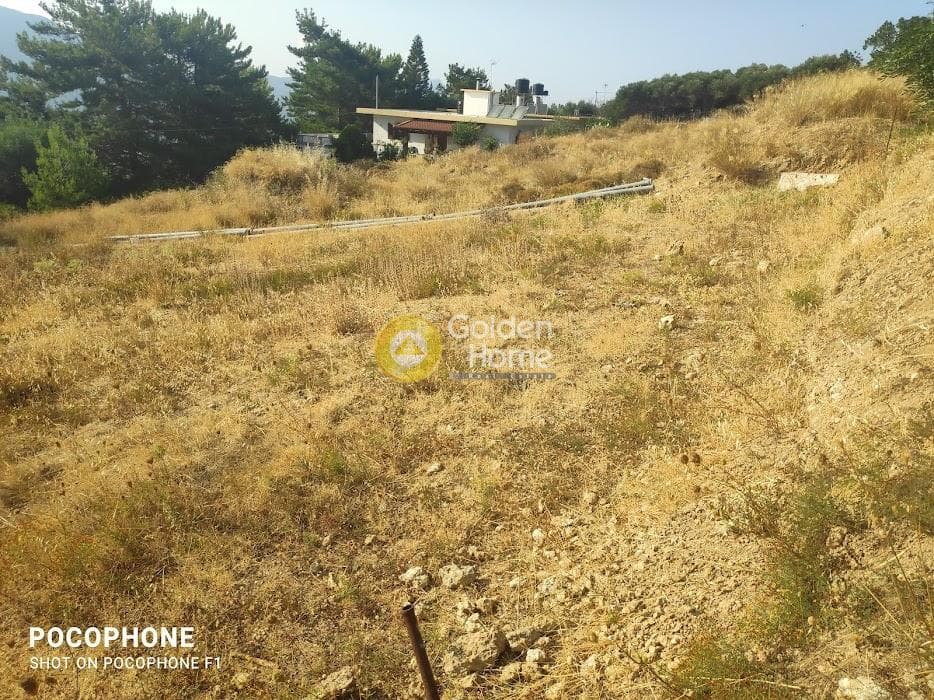 Οικόπεδο στην Πυργού, Τετραχώρι — Φωτογραφία 11 από 11