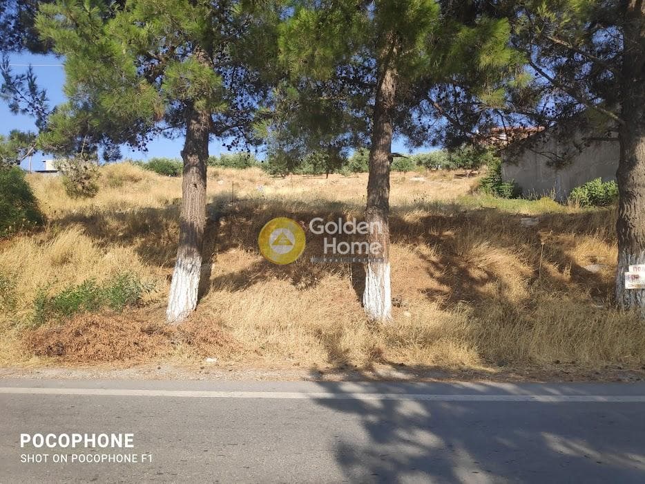 Οικόπεδο στην Πυργού, Τετραχώρι — Φωτογραφία 10 από 11