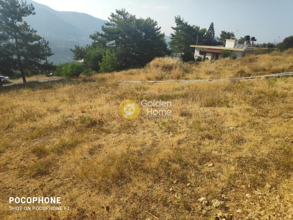 Οικόπεδο στην Πυργού, Τετραχώρι — Φωτογραφία 9 από 11