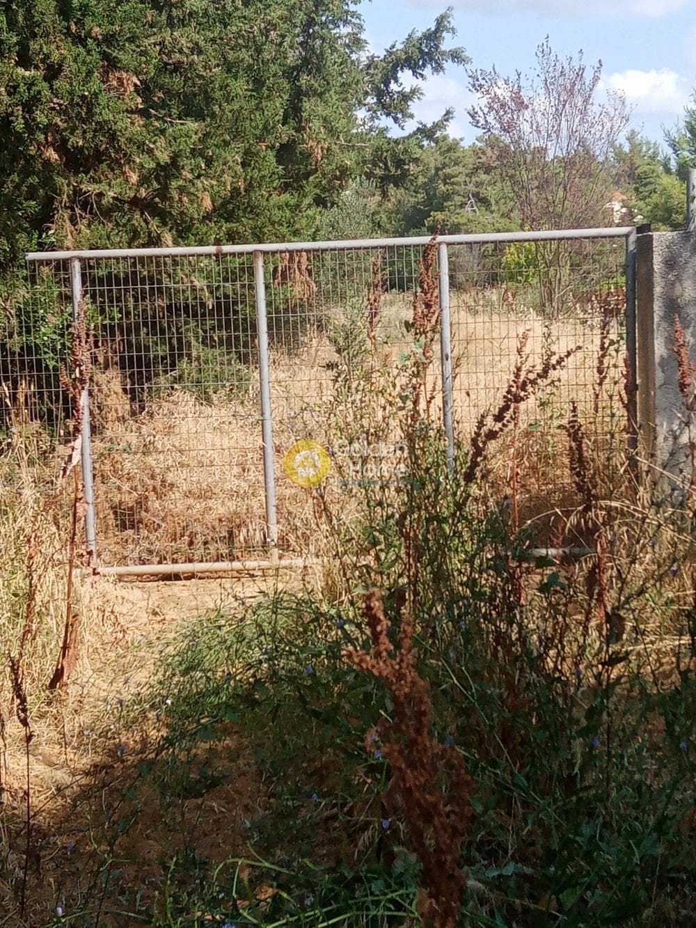 Οικόπεδο στην Δροσιά, Δροσιά — Φωτογραφία 6 από 11
