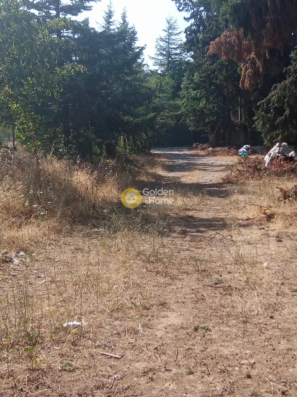 Οικόπεδο στην Δροσιά, Δροσιά — Φωτογραφία 1 από 11