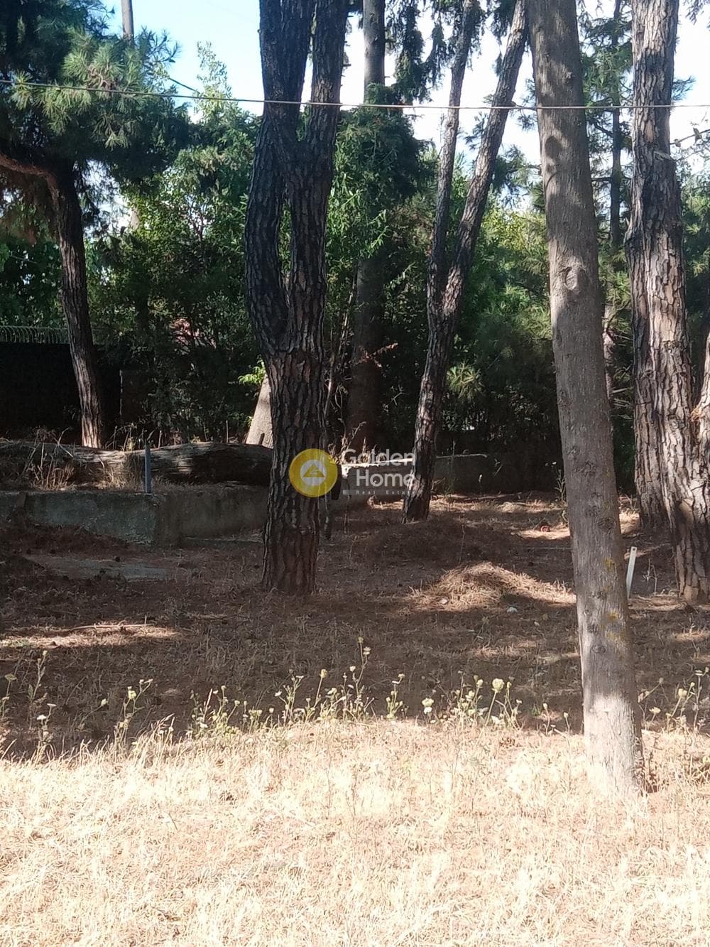 Οικόπεδο στην Δροσιά, Δροσιά — Φωτογραφία 3 από 11