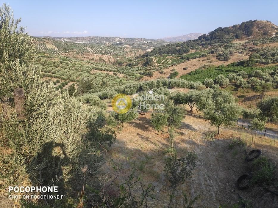 Αγροτεμάχιο στην Πυργού, Τετραχώρι — Φωτογραφία 3 από 55