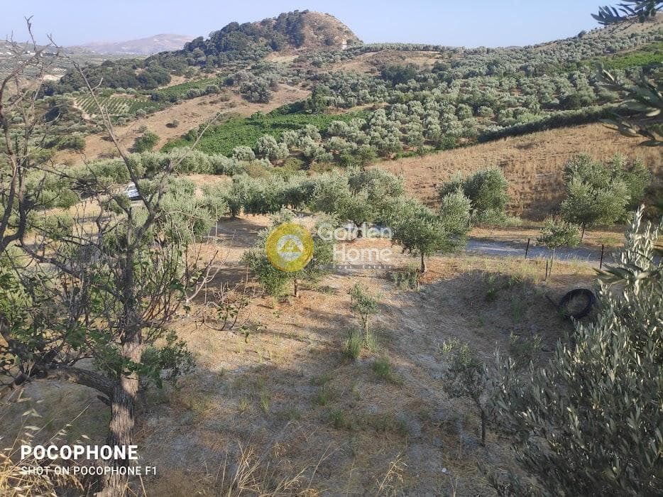 Αγροτεμάχιο στην Πυργού, Τετραχώρι — Φωτογραφία 2 από 55