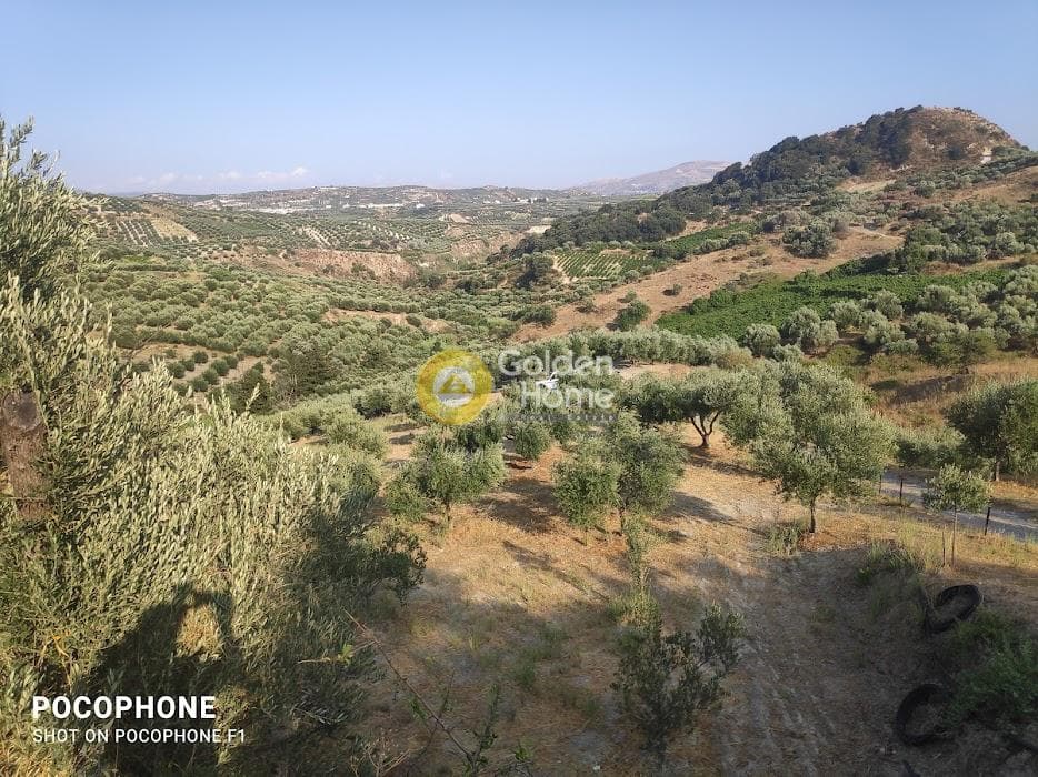 Αγροτεμάχιο στην Πυργού, Τετραχώρι — Φωτογραφία 5 από 55