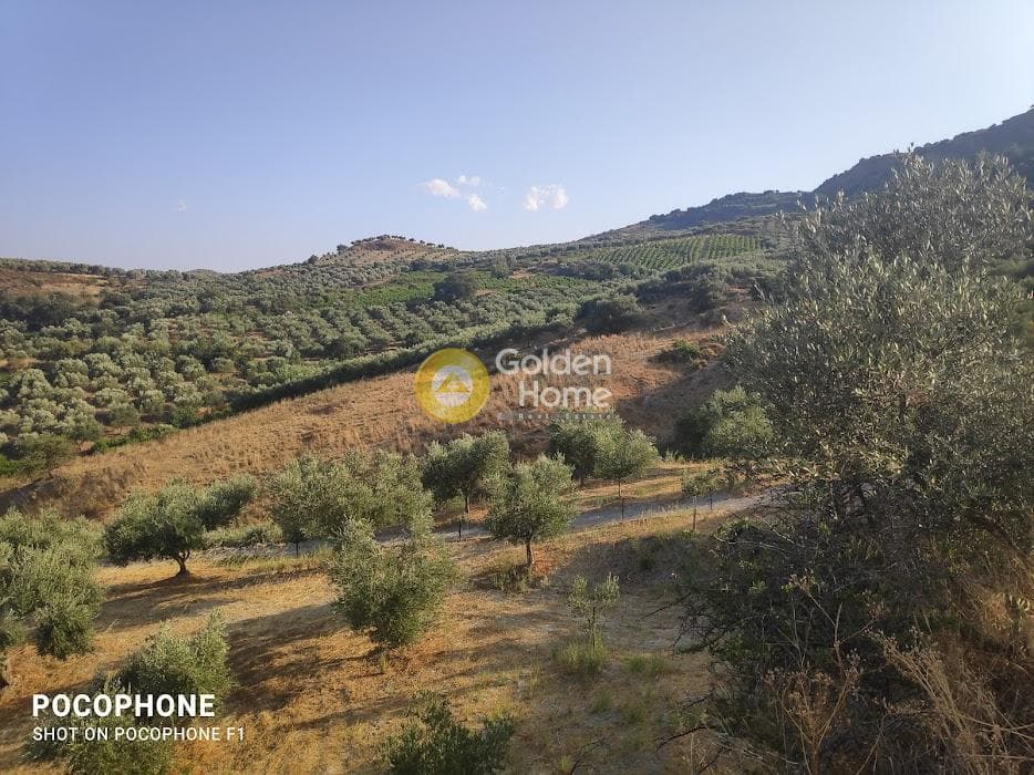 Αγροτεμάχιο στην Πυργού, Τετραχώρι — Φωτογραφία 8 από 55
