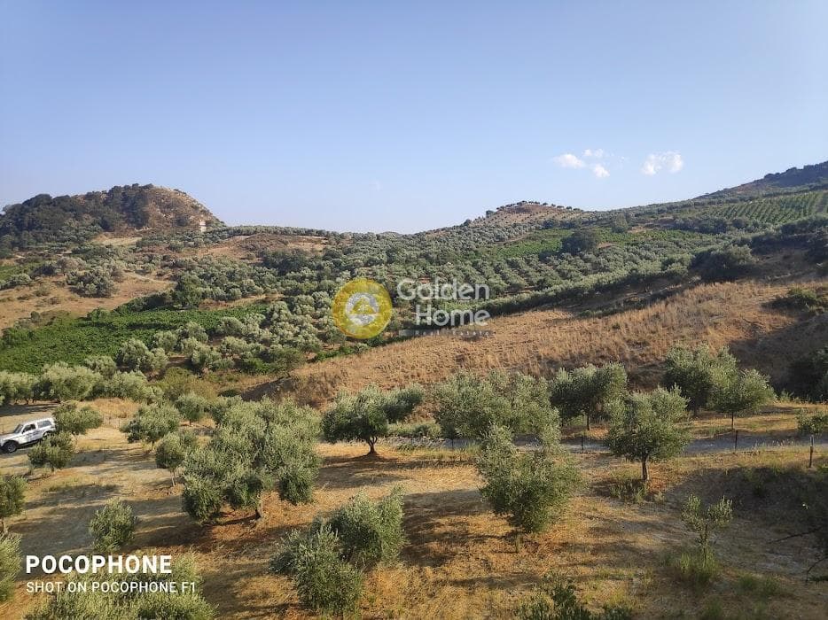 Αγροτεμάχιο στην Πυργού, Τετραχώρι — Φωτογραφία 9 από 55