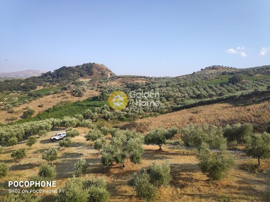 Αγροτεμάχιο στην Πυργού, Τετραχώρι — Φωτογραφία 10 από 55