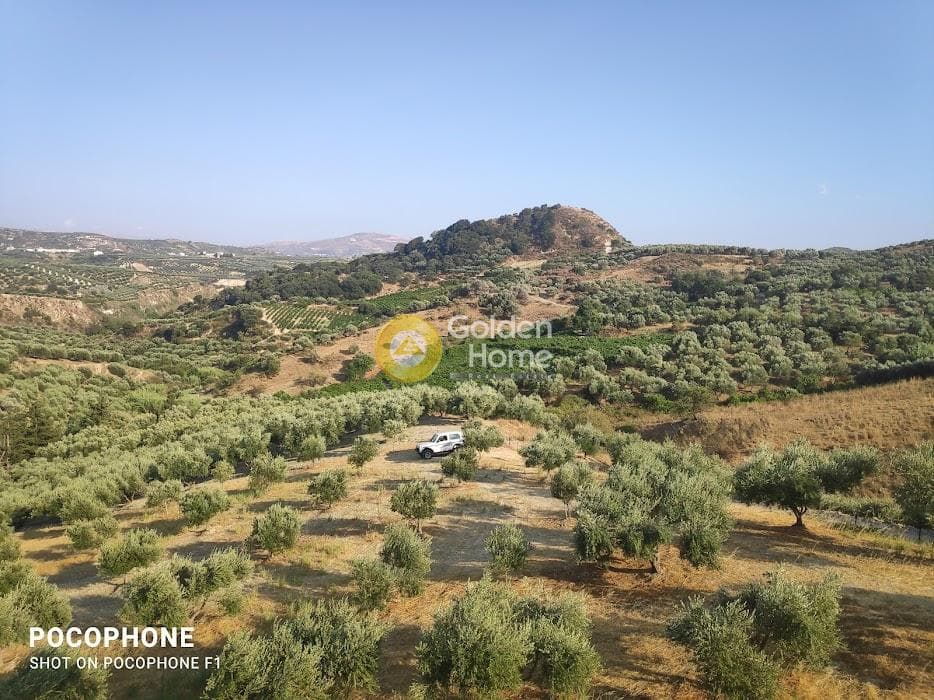 Αγροτεμάχιο στην Πυργού, Τετραχώρι — Φωτογραφία 17 από 55