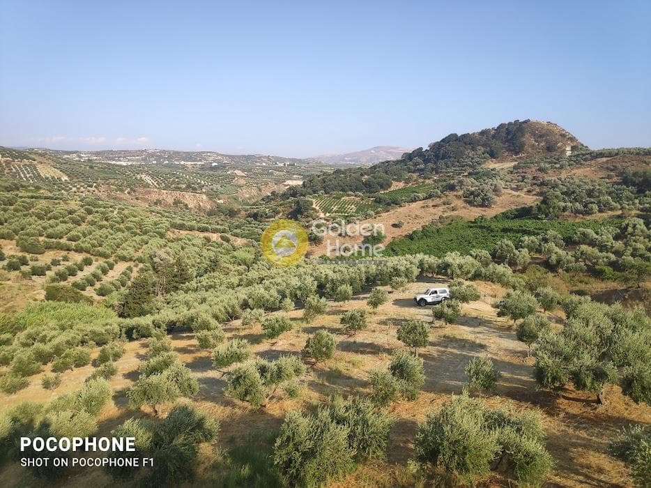 Αγροτεμάχιο στην Πυργού, Τετραχώρι — Φωτογραφία 12 από 55