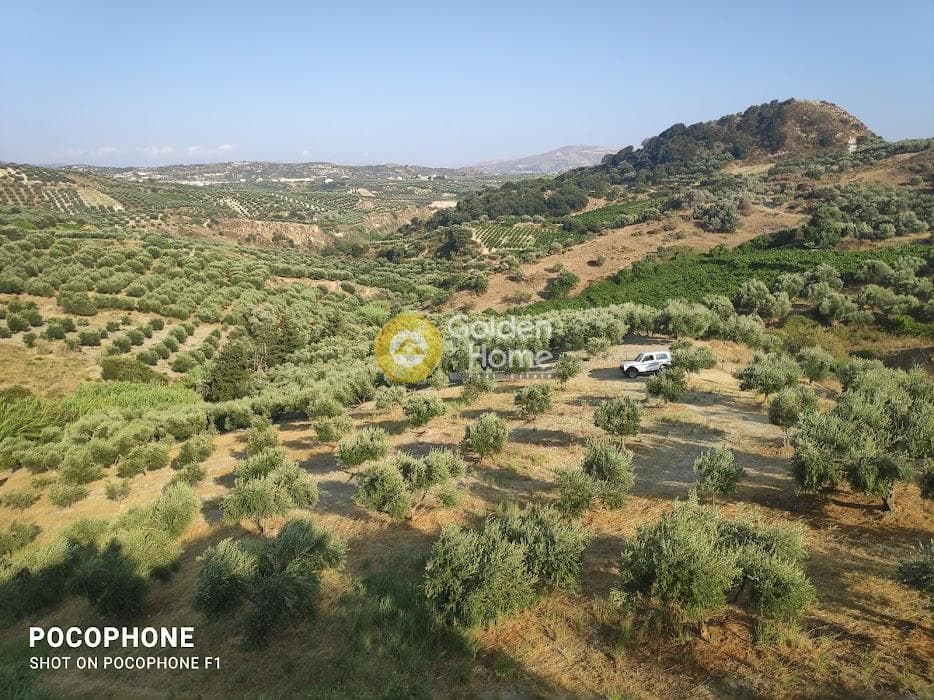 Αγροτεμάχιο στην Πυργού, Τετραχώρι — Φωτογραφία 13 από 55