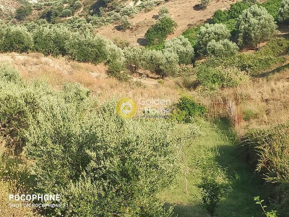 Αγροτεμάχιο στην Πυργού, Τετραχώρι — Φωτογραφία 34 από 55