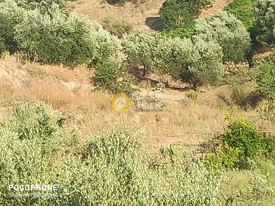 Αγροτεμάχιο στην Πυργού, Τετραχώρι — Φωτογραφία 33 από 55