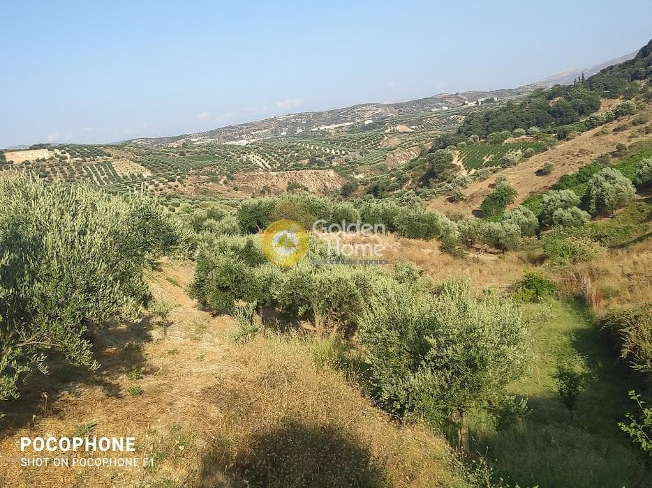 Αγροτεμάχιο στην Πυργού, Τετραχώρι — Φωτογραφία 41 από 55