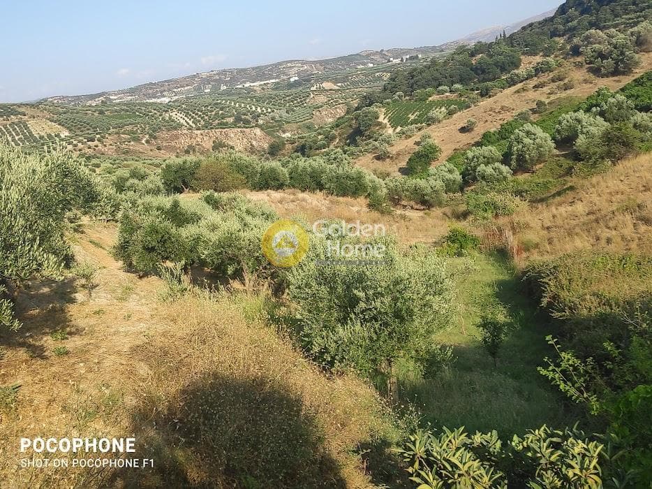 Αγροτεμάχιο στην Πυργού, Τετραχώρι — Φωτογραφία 40 από 55