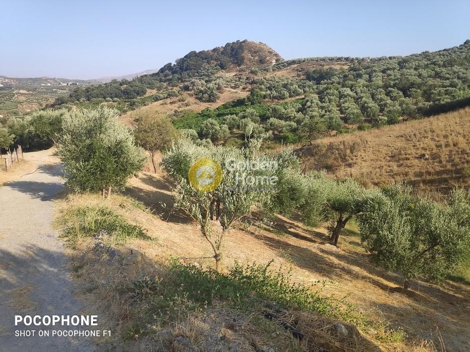 Αγροτεμάχιο στην Πυργού, Τετραχώρι — Φωτογραφία 39 από 55