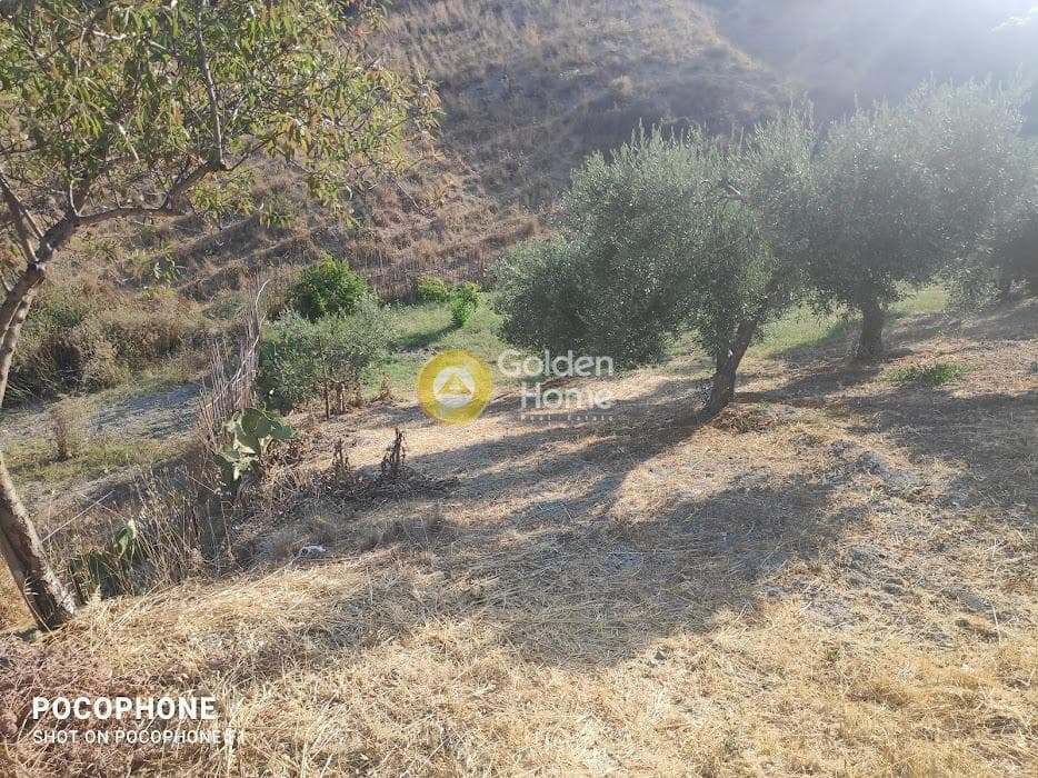 Αγροτεμάχιο στην Πυργού, Τετραχώρι — Φωτογραφία 38 από 55