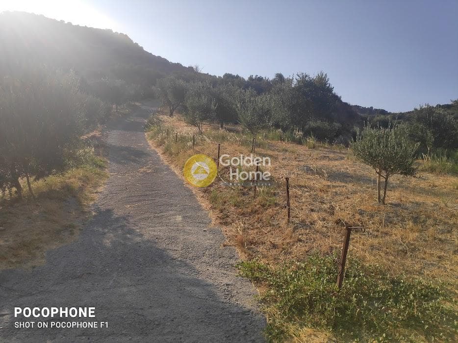 Αγροτεμάχιο στην Πυργού, Τετραχώρι — Φωτογραφία 48 από 55