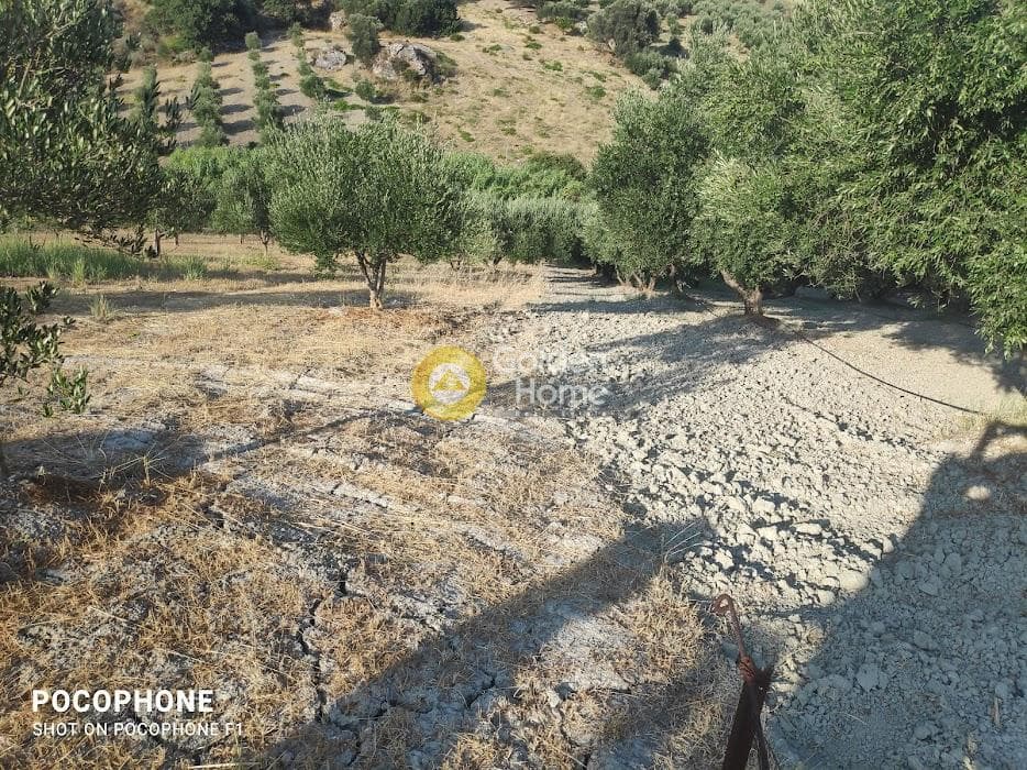 Αγροτεμάχιο στην Πυργού, Τετραχώρι — Φωτογραφία 45 από 55