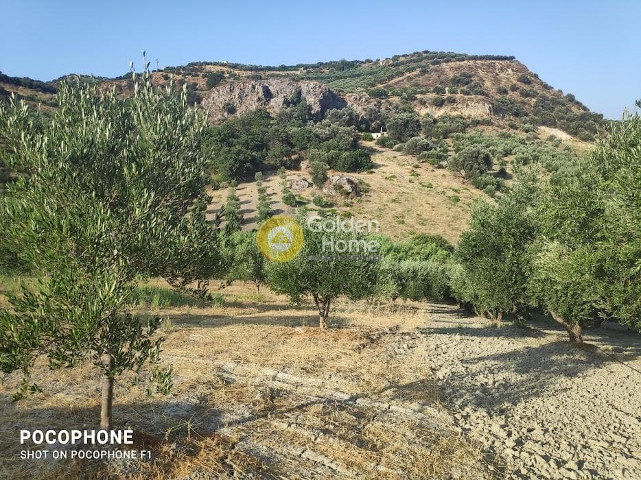 Αγροτεμάχιο στην Πυργού, Τετραχώρι — Φωτογραφία 43 από 55