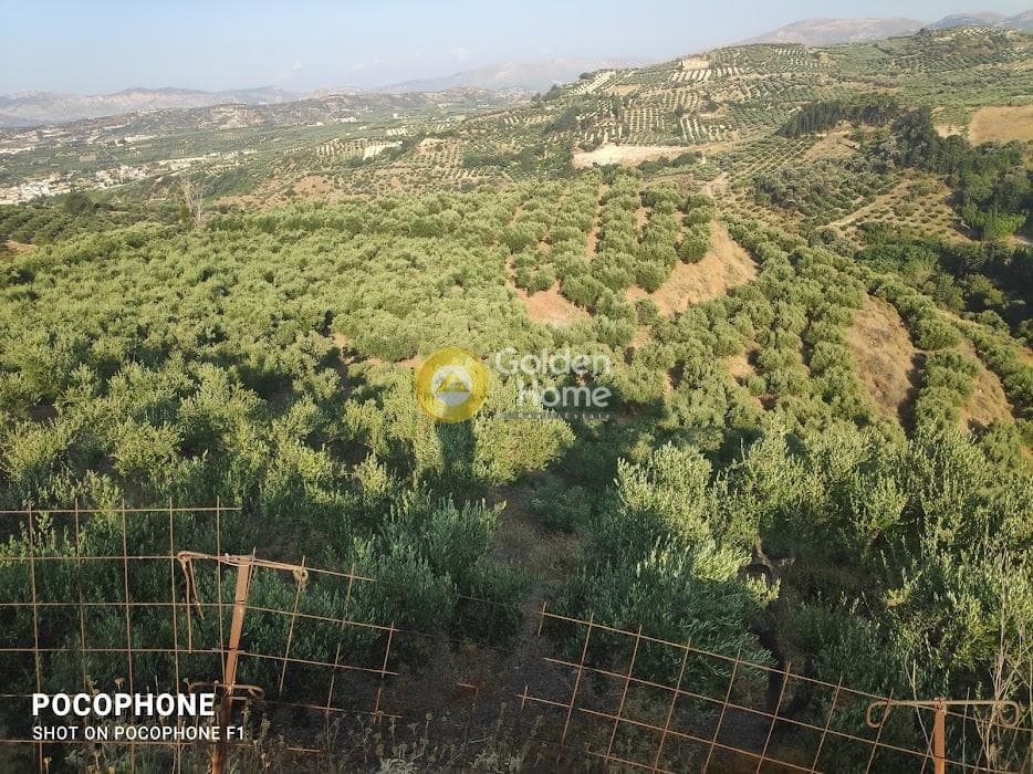 Αγροτεμάχιο στην Πυργού, Τετραχώρι — Φωτογραφία 50 από 55