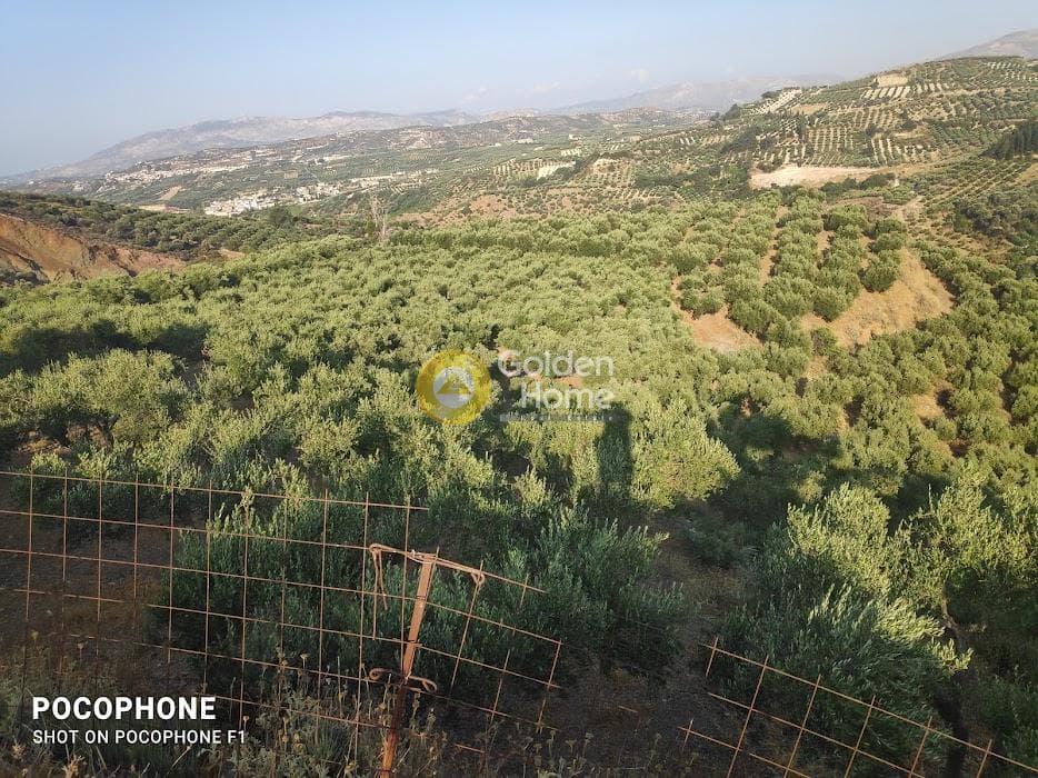 Αγροτεμάχιο στην Πυργού, Τετραχώρι — Φωτογραφία 52 από 55