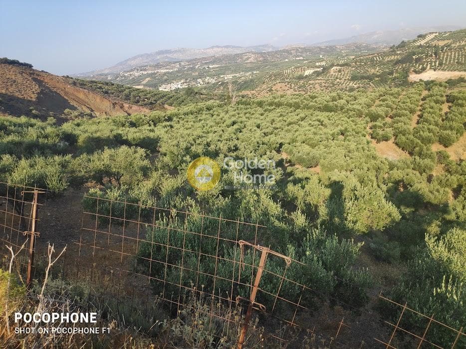 Αγροτεμάχιο στην Πυργού, Τετραχώρι — Φωτογραφία 49 από 55