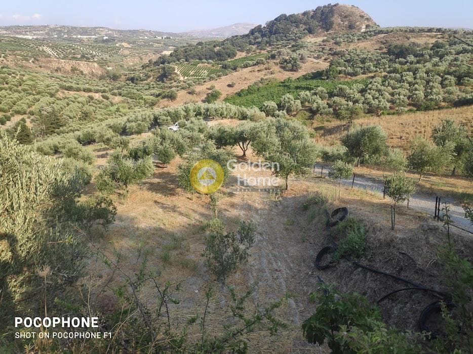 Αγροτεμάχιο στην Πυργού, Τετραχώρι — Φωτογραφία 55 από 55