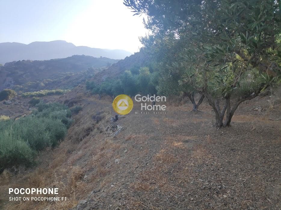 Αγροτεμάχιο στην Κερασιά, Τετραχώρι — Φωτογραφία 1 από 24