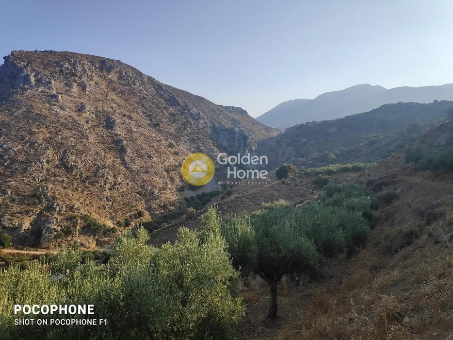 Αγροτεμάχιο στην Κερασιά, Τετραχώρι — Φωτογραφία 3 από 24