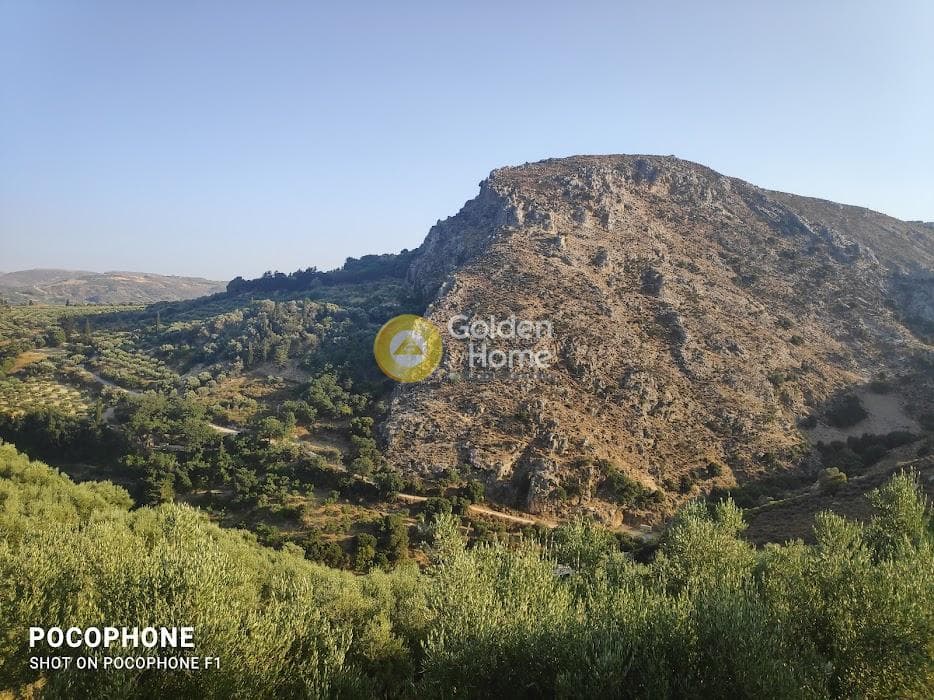 Αγροτεμάχιο στην Κερασιά, Τετραχώρι — Φωτογραφία 6 από 24