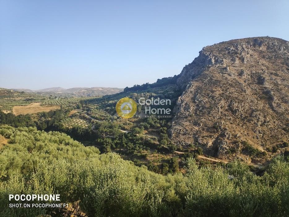Αγροτεμάχιο στην Κερασιά, Τετραχώρι — Φωτογραφία 2 από 24